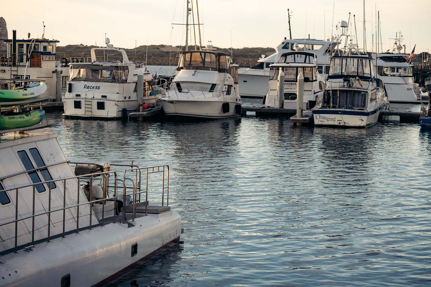 Sea otters in Morro Bay | Roads and Destinations