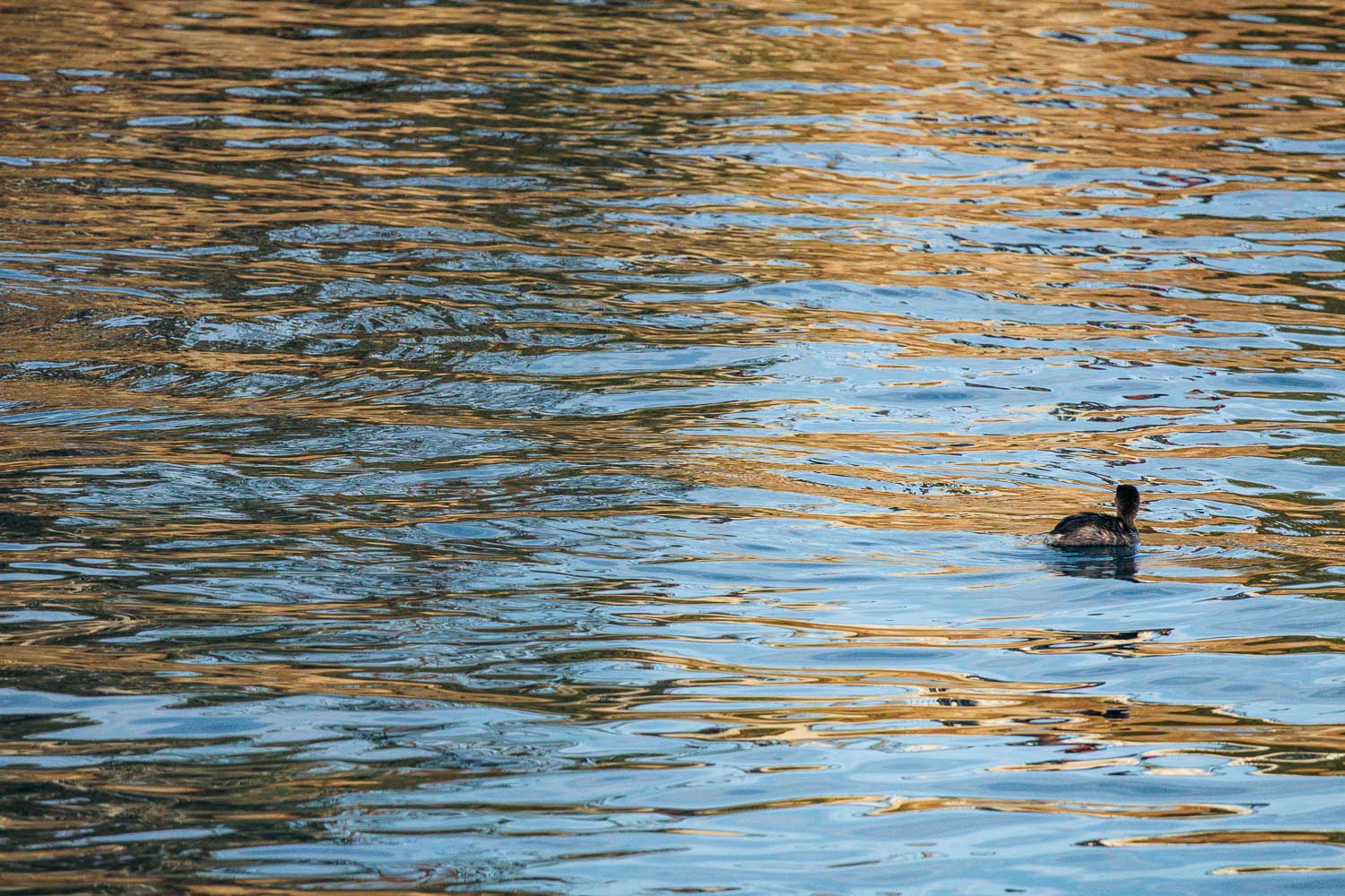 California | Roads and Destinations