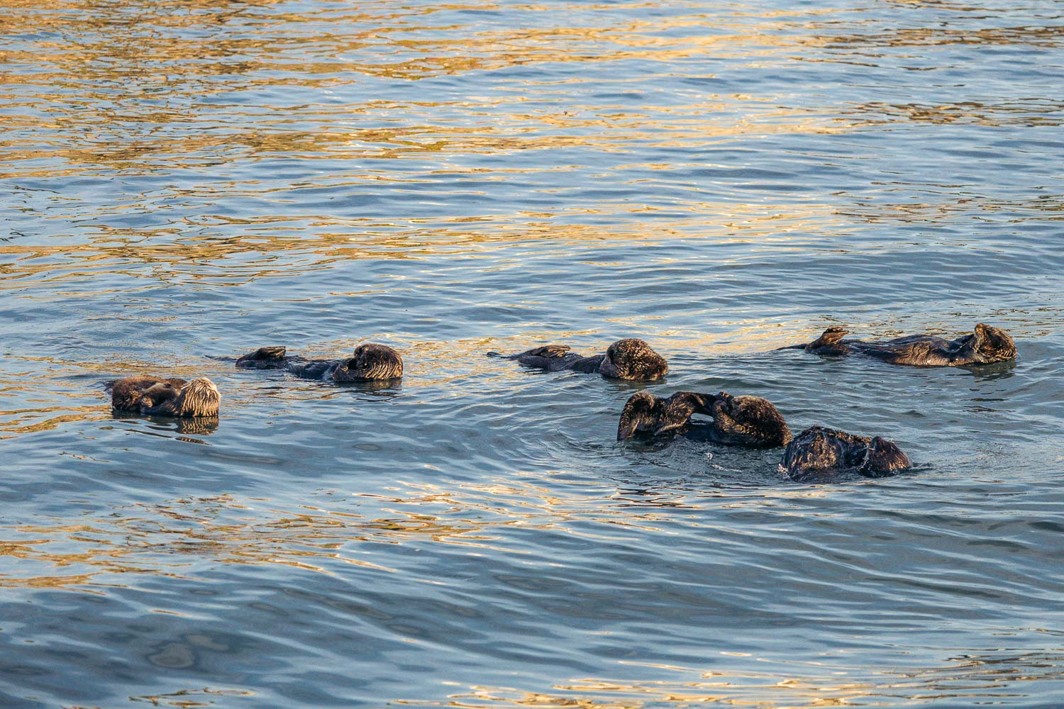 California | Roads and Destinations