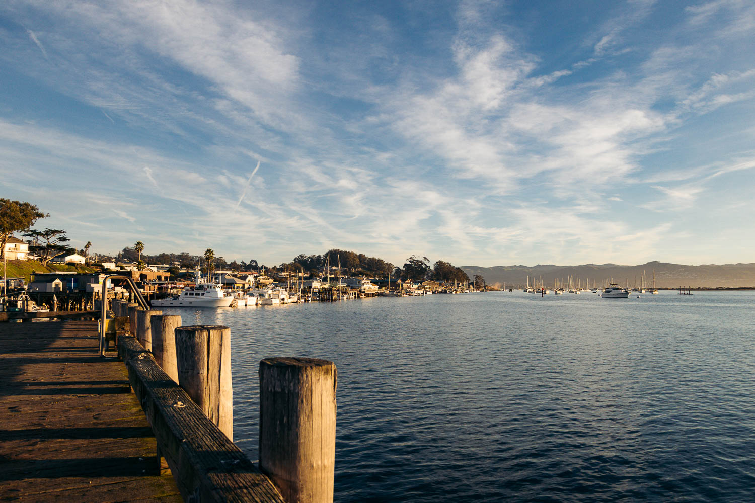 Sea otters in Morro Bay | Roads and Destinations