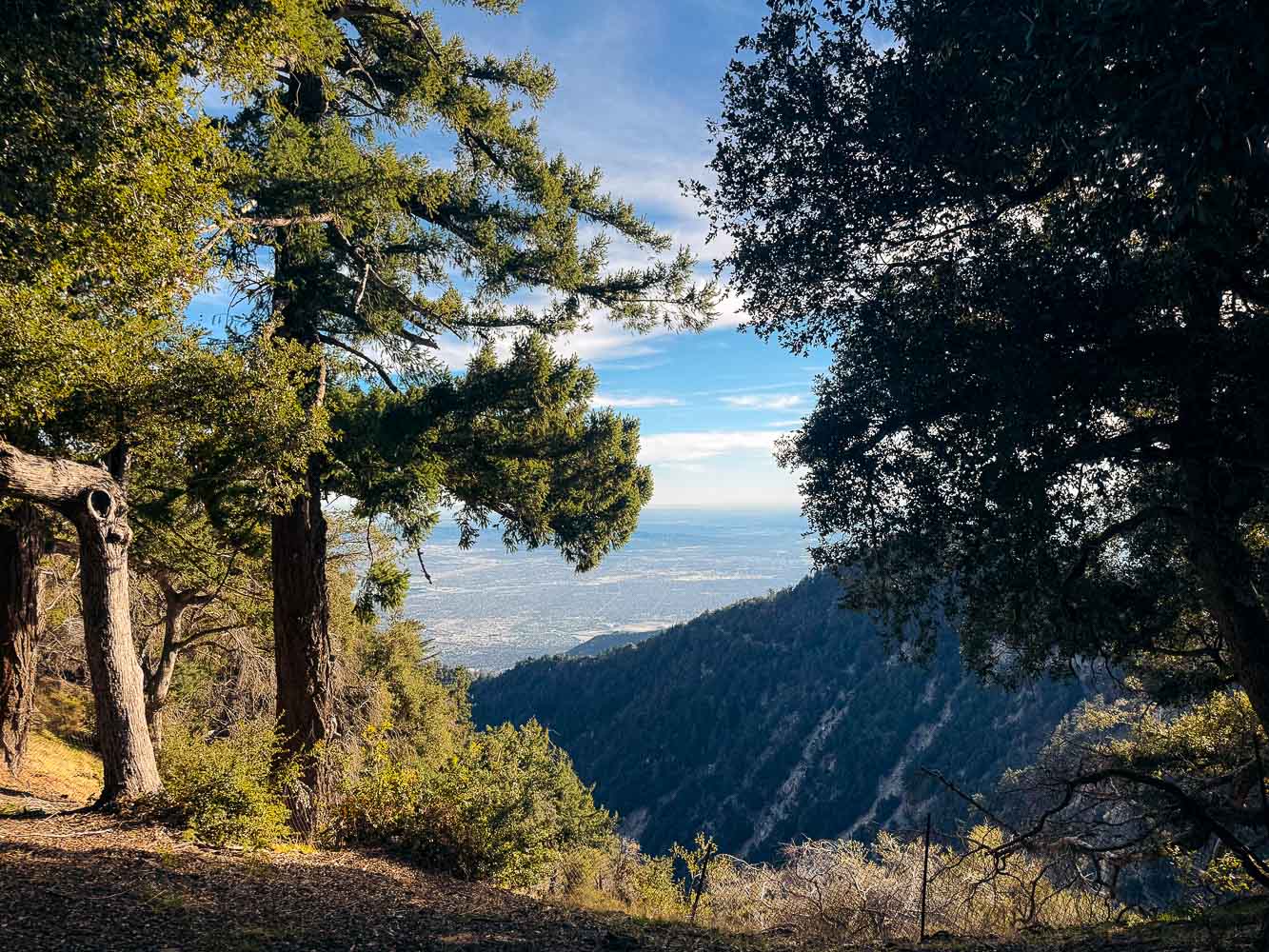 Wilson Observatory | Roads and Destinations