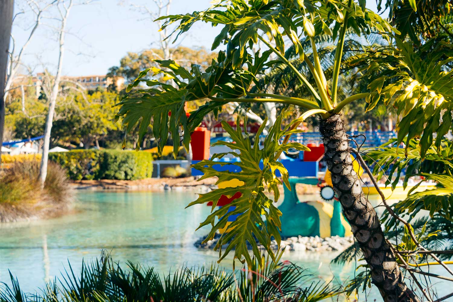 Carlsbad | Roads and Destinations