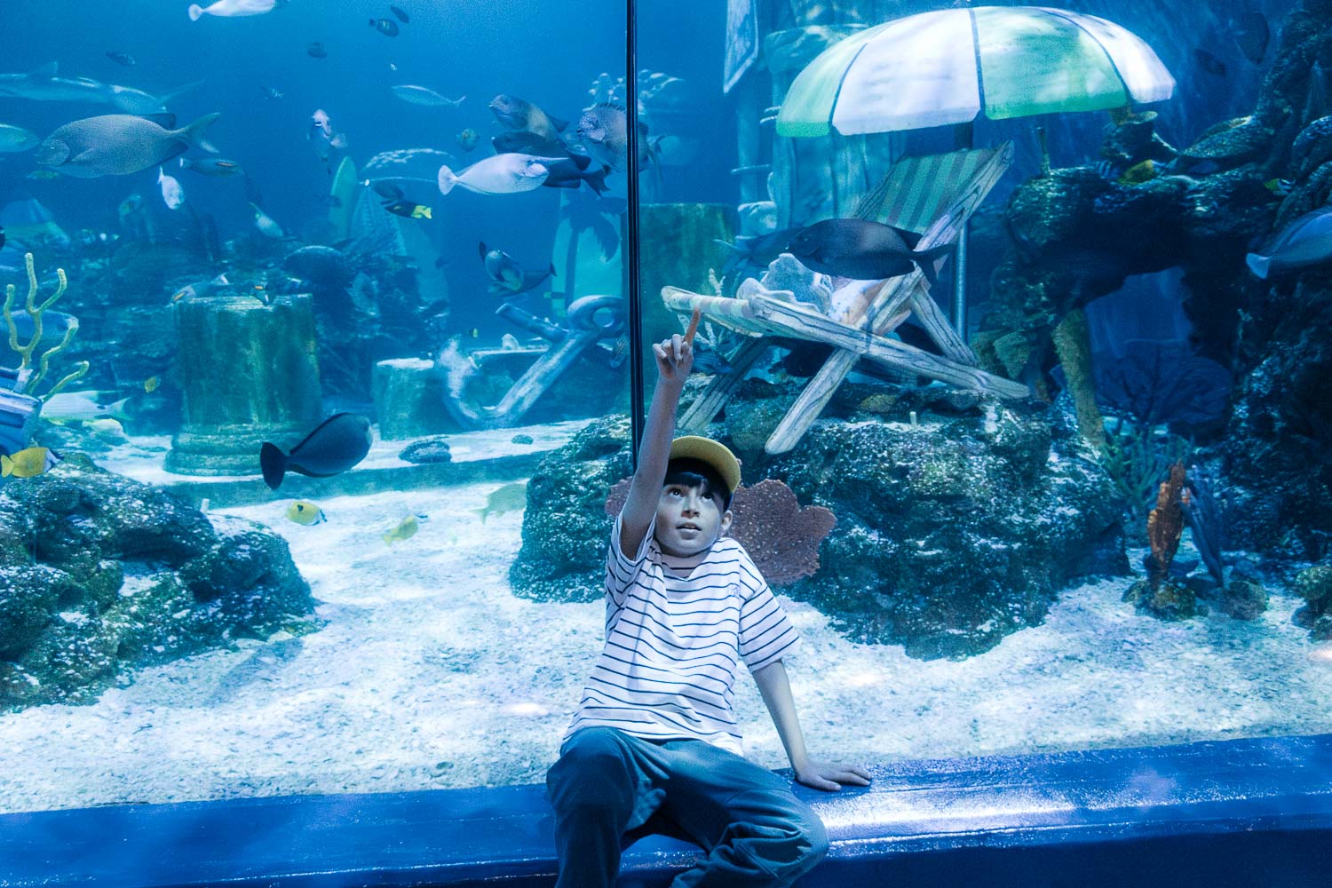 LegoLand California | Roads and Destinations