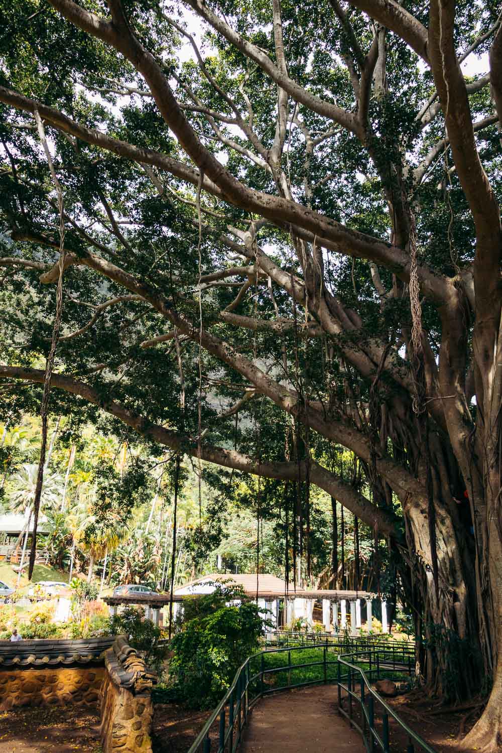 Maui's Hidden Gems | Roads and Destinations