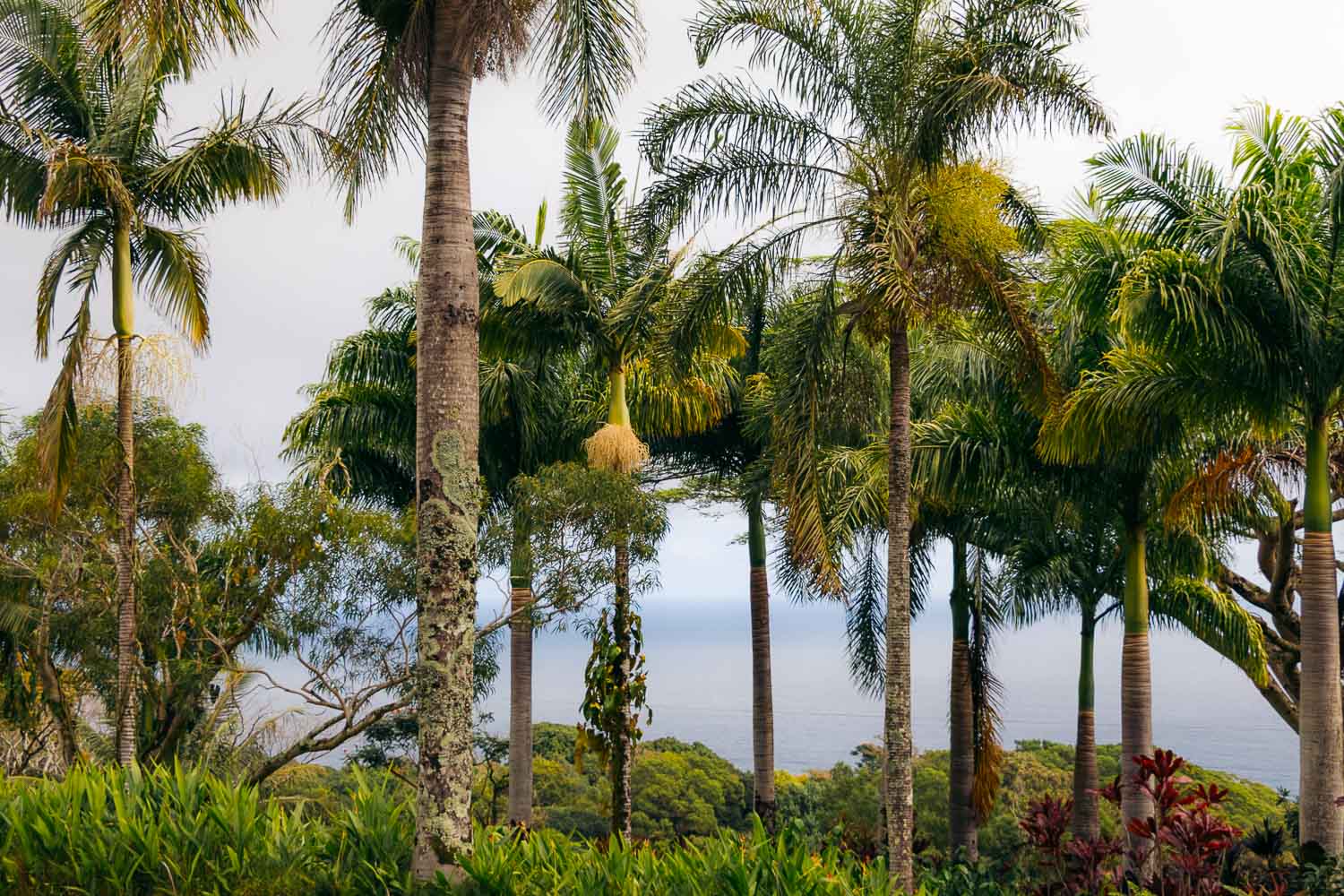 Hawaii | Roads and Destinations