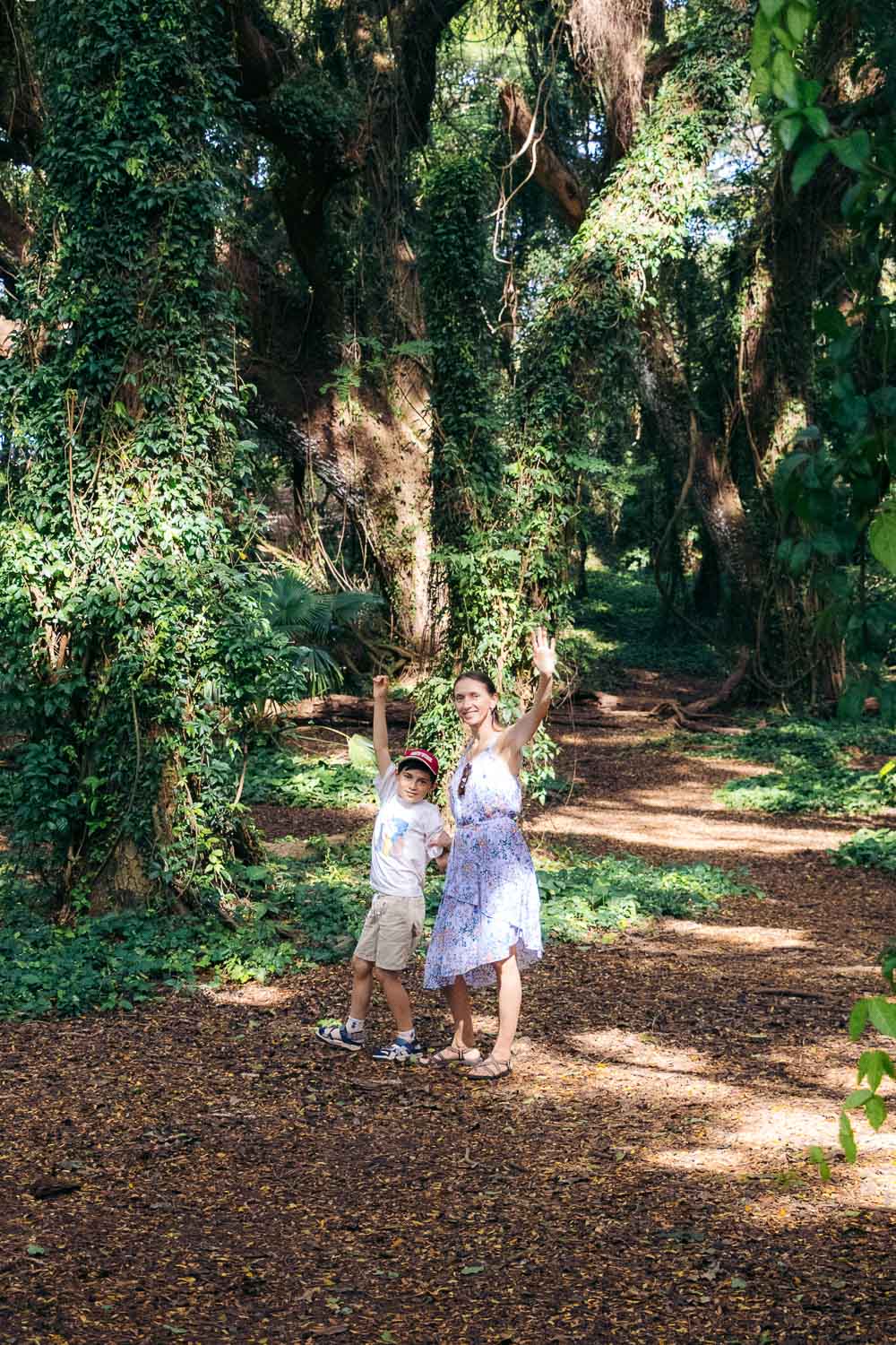Maui Hidden Gems | Roads and Destinations