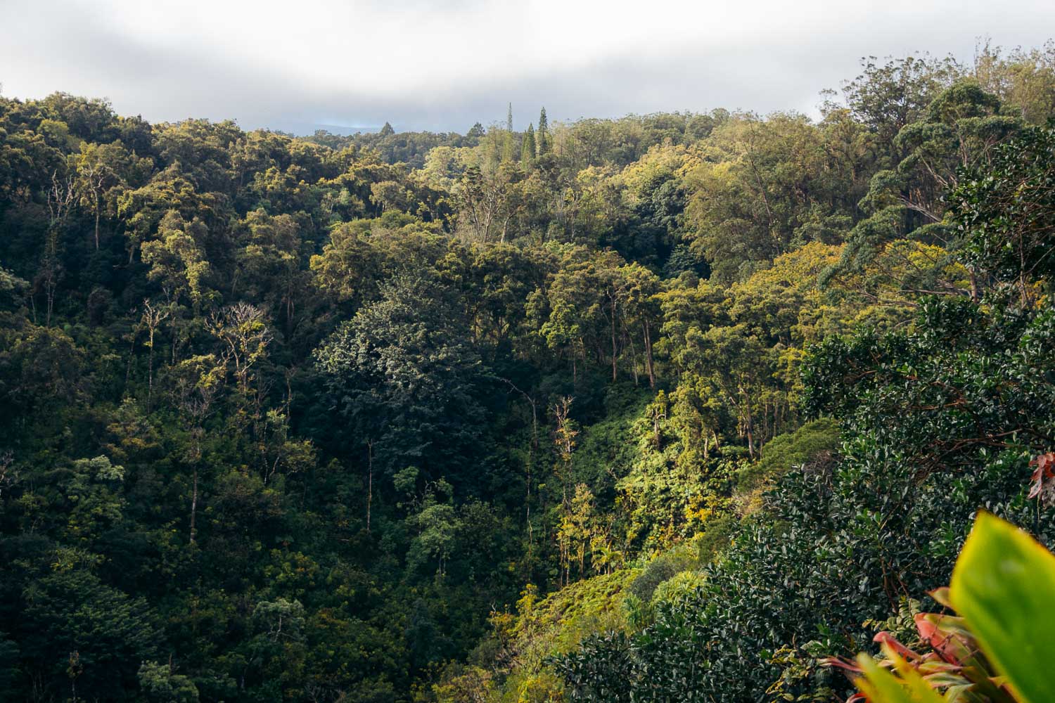 Road to Hana | Roads and Destinations