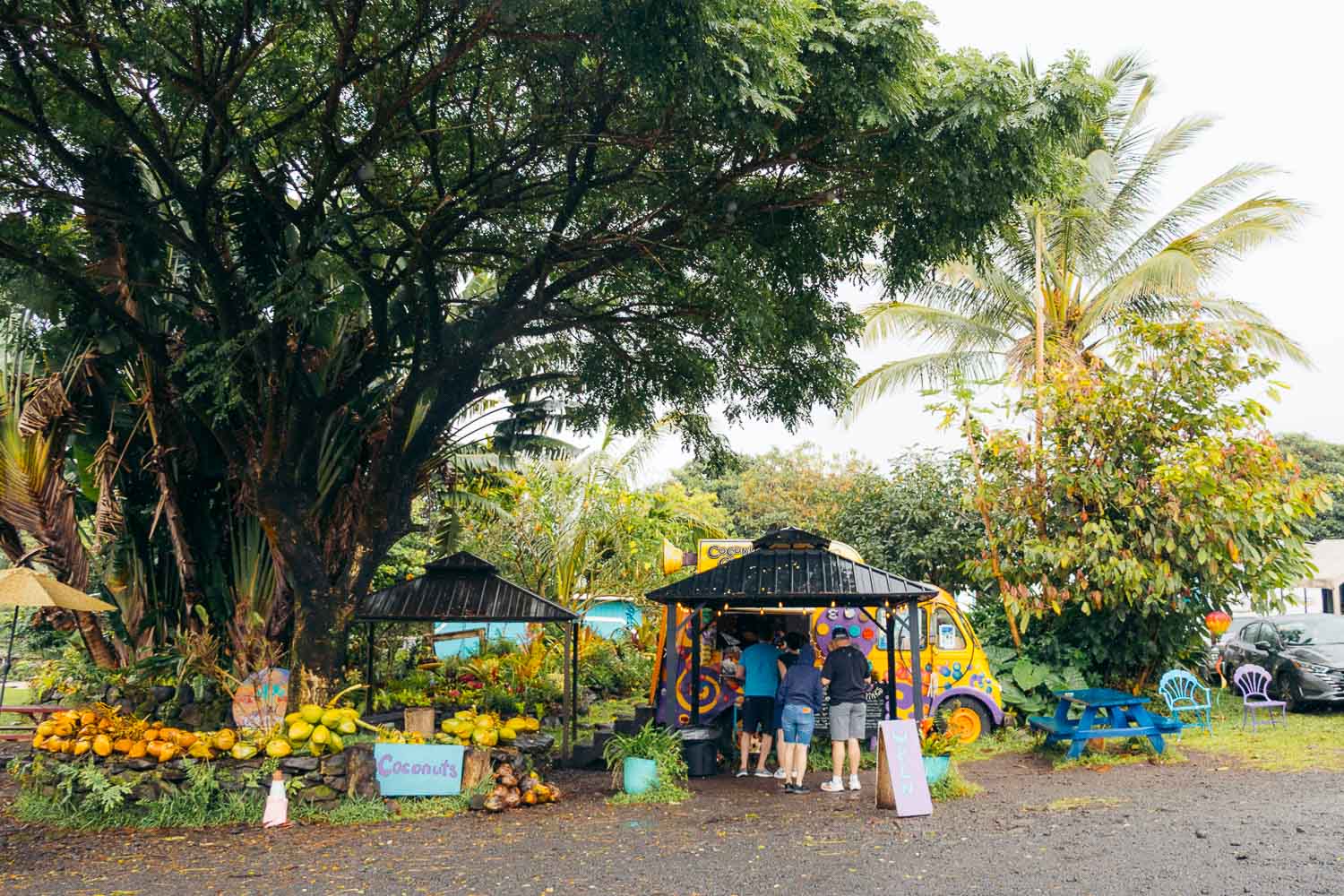 Road to Hana | Roads and Destinations
