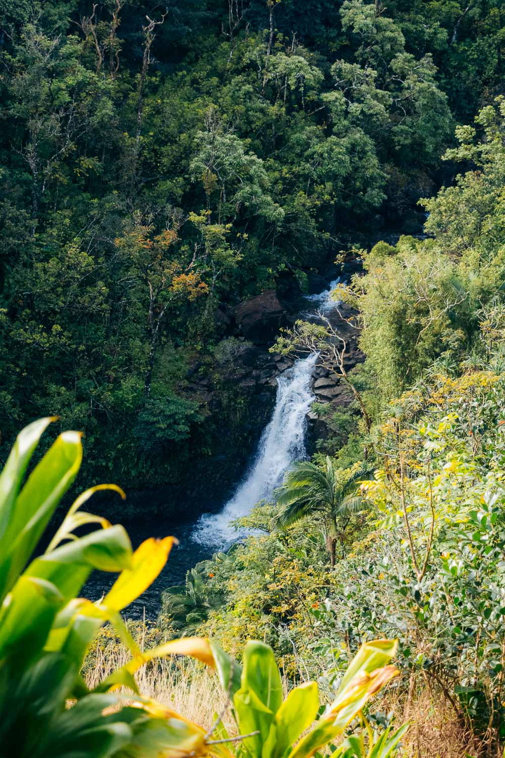 Road to Hana | Roads and Destinations
