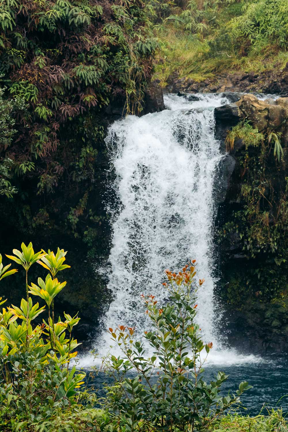 Maui | Roads and Destinations
