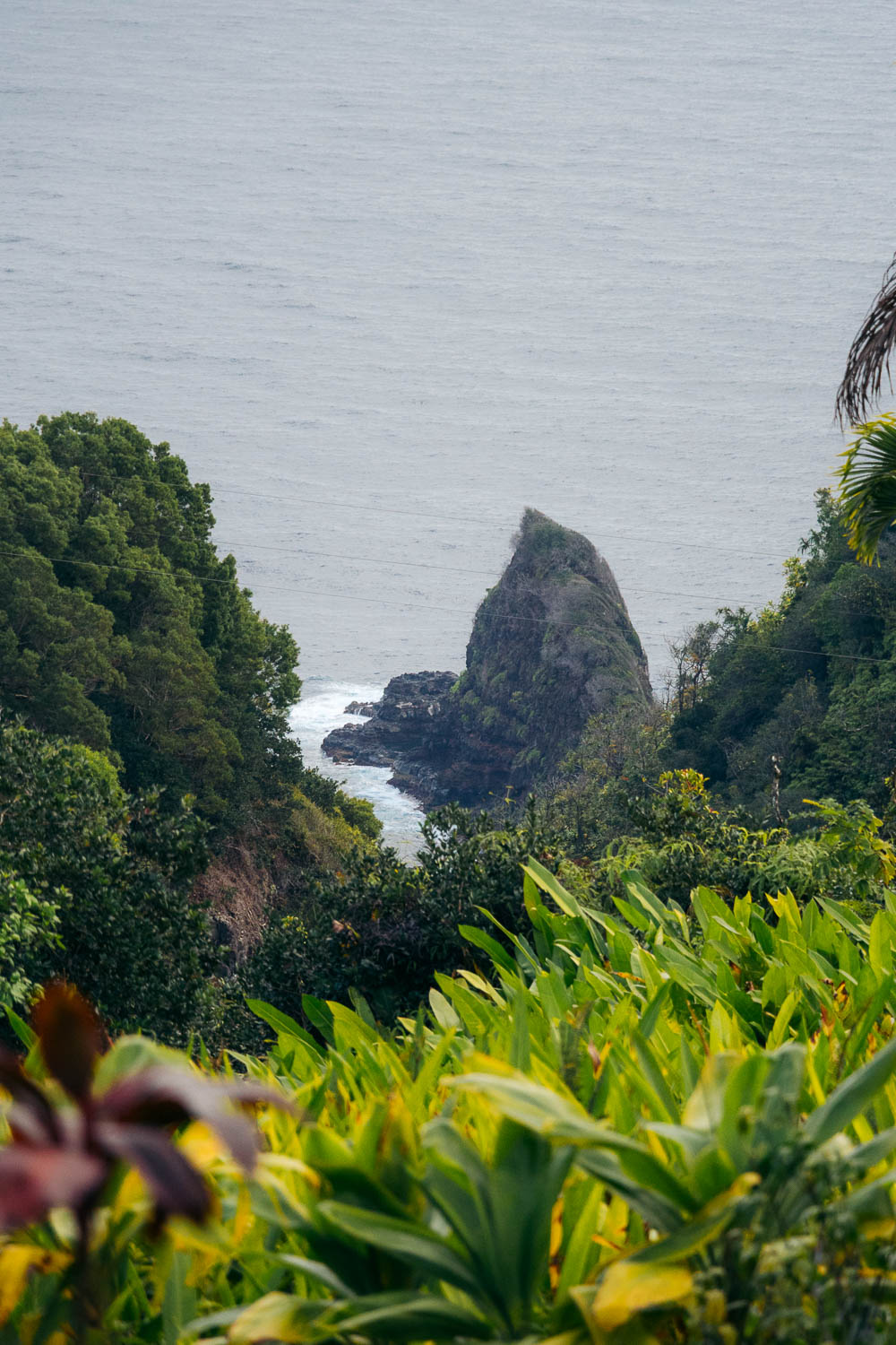 Road to Hana | Roads and Destinations