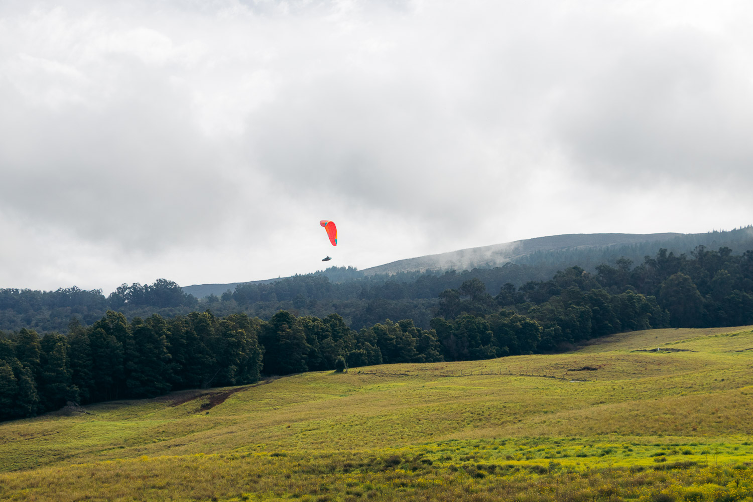 Ali'i Kula Lavender | Roads and Destinations