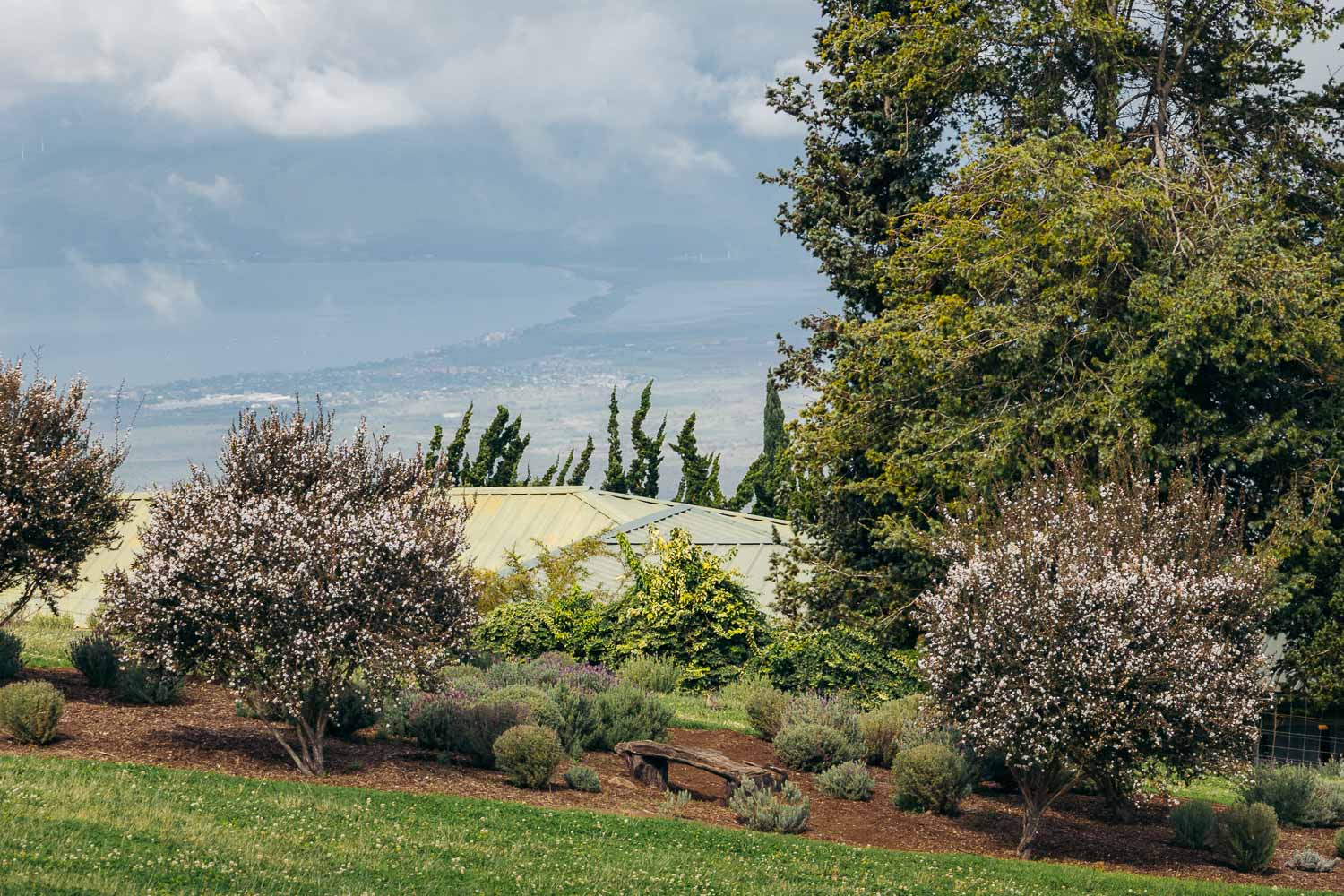 Ali'i Kula Lavender | Roads and Destinations
