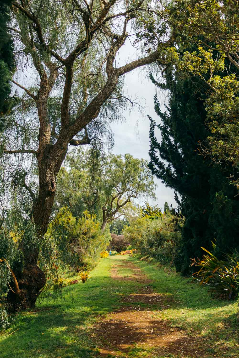 Maui | Roads and Destinations