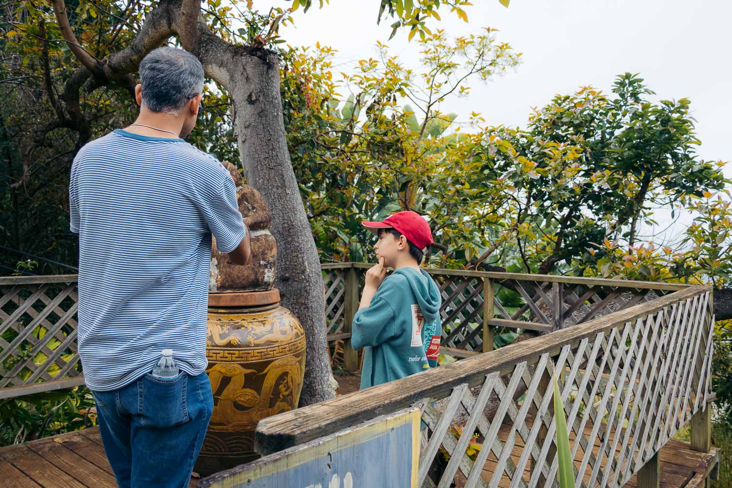 Ali'i Kula Lavender | Roads and Destinations