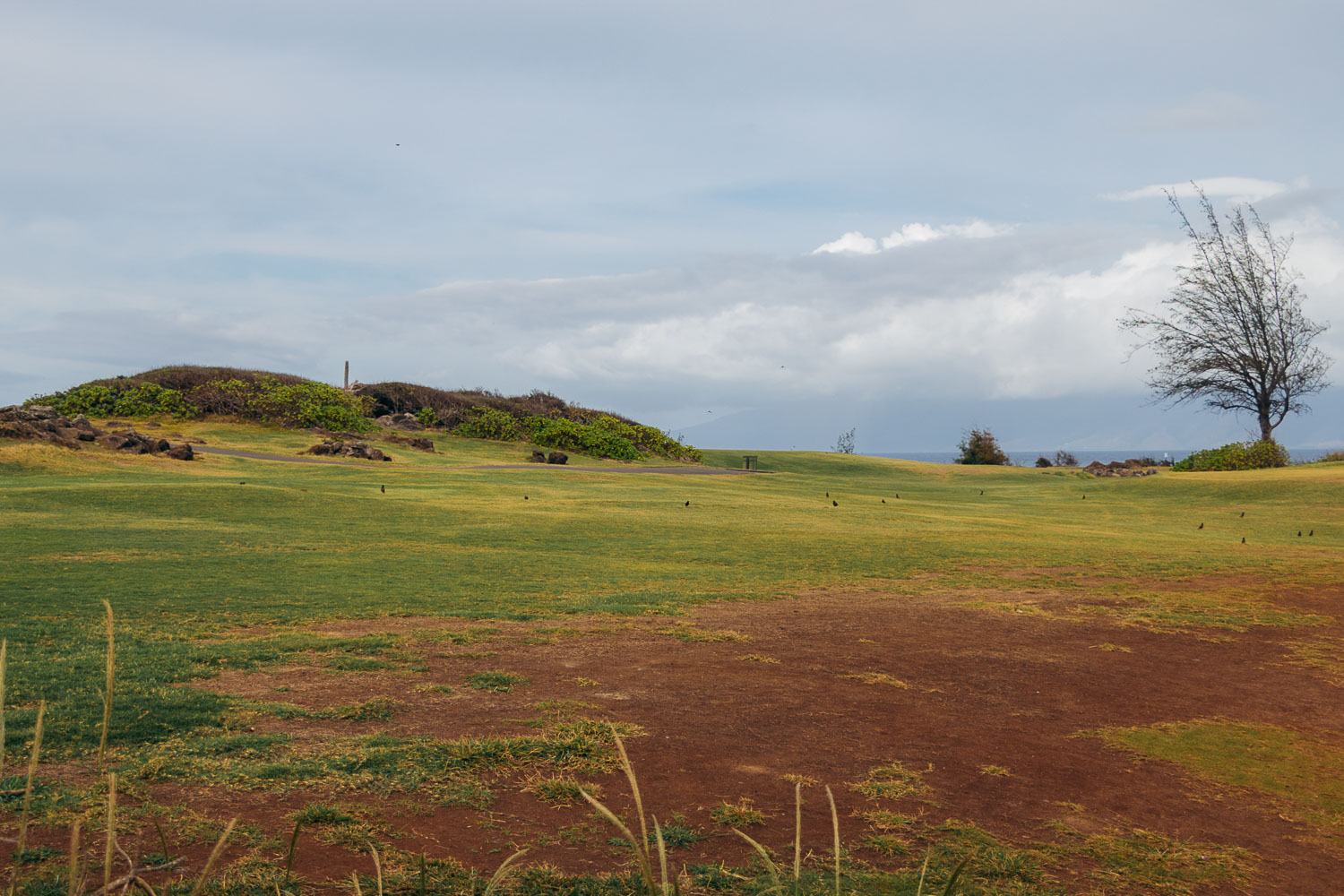 Maui | Roads and Destinations