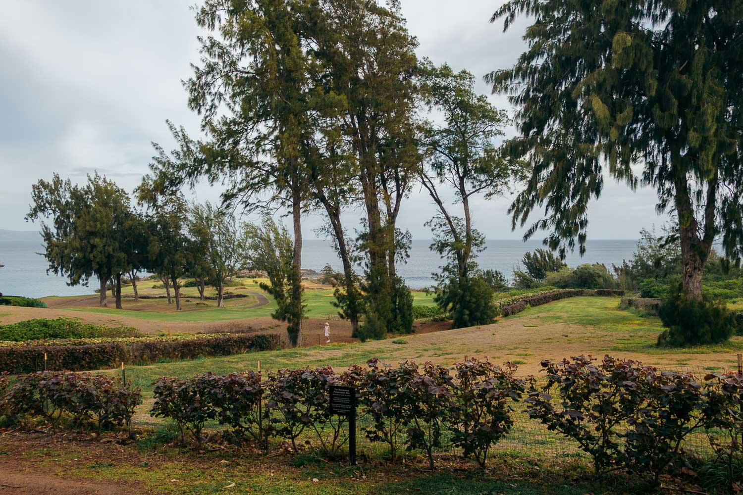 Maui | Roads and Destinations