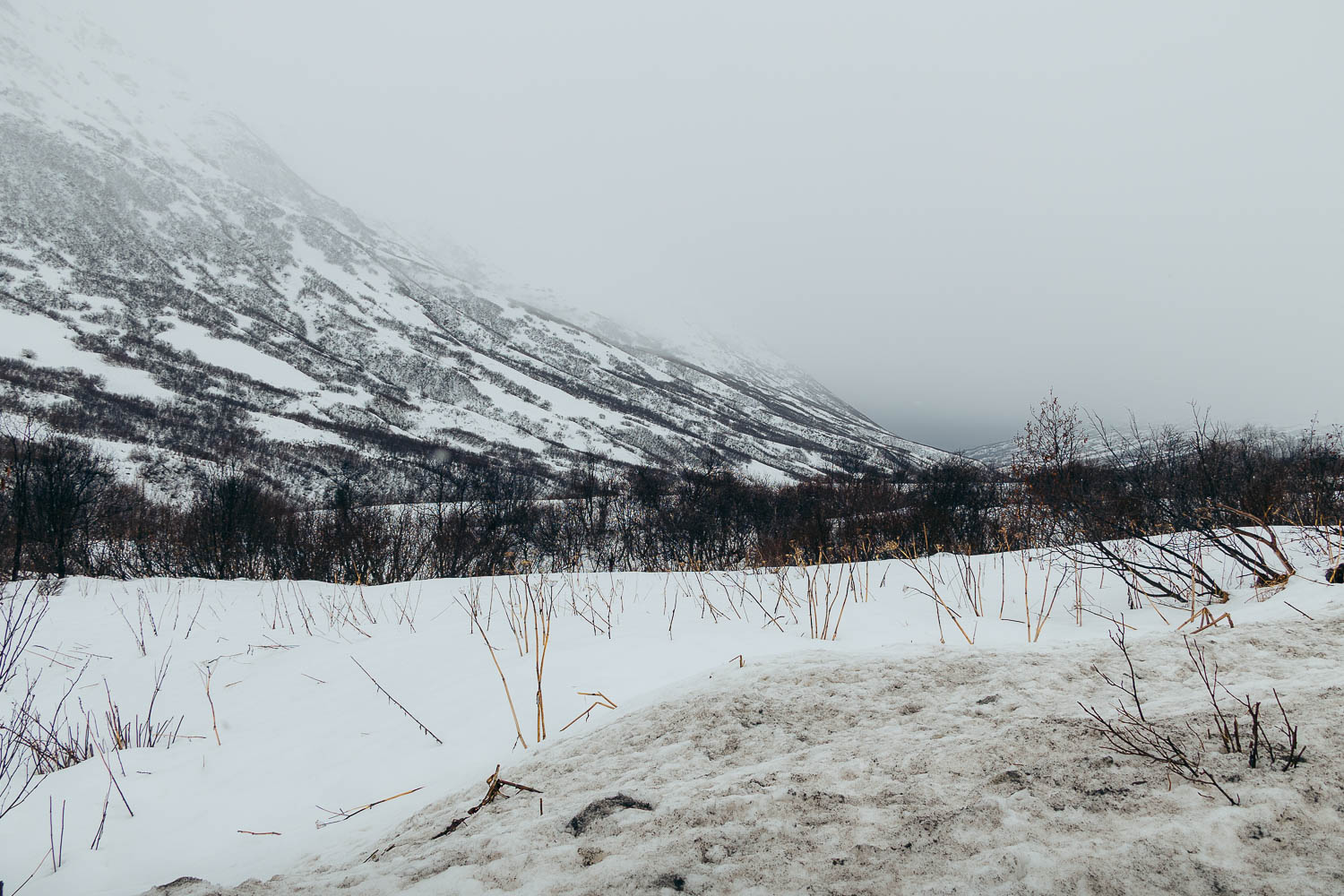 Alaska | Roads and Destinations