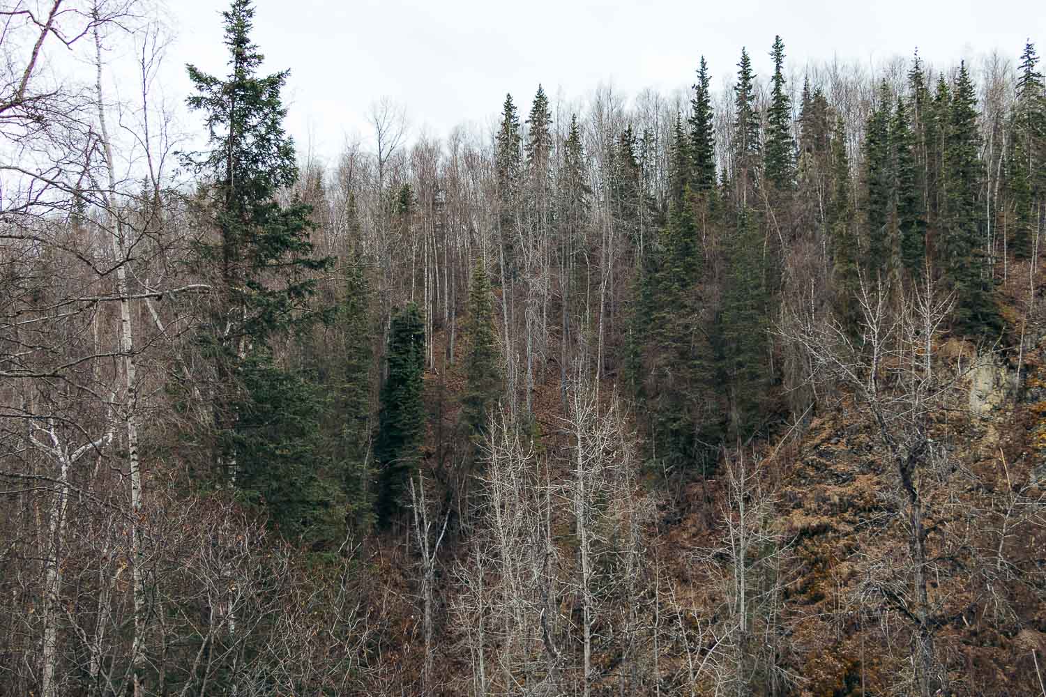 Alaska | Roads and Destinations