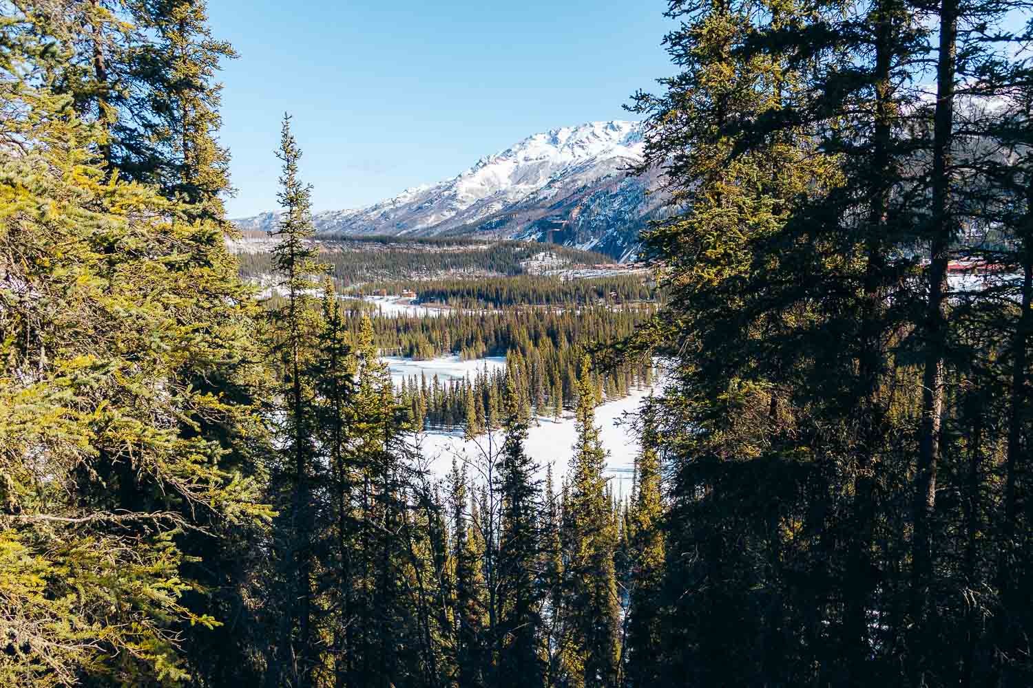 Denali National Park | Roads and Destinations