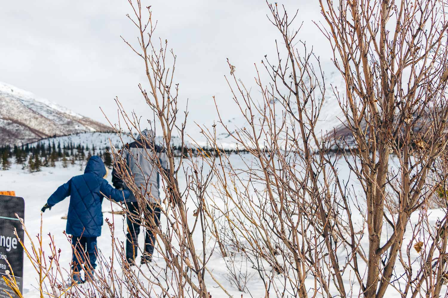 Castner Glacier Ice Cave | Roads and Destinations