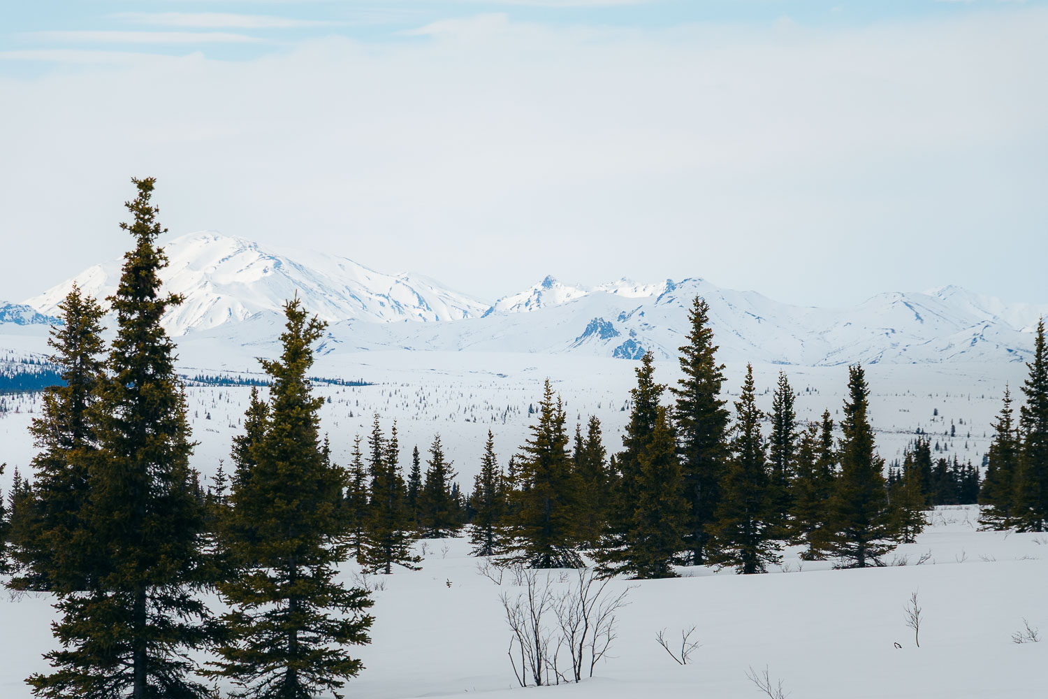 Denali National Park | Roads and Destinations