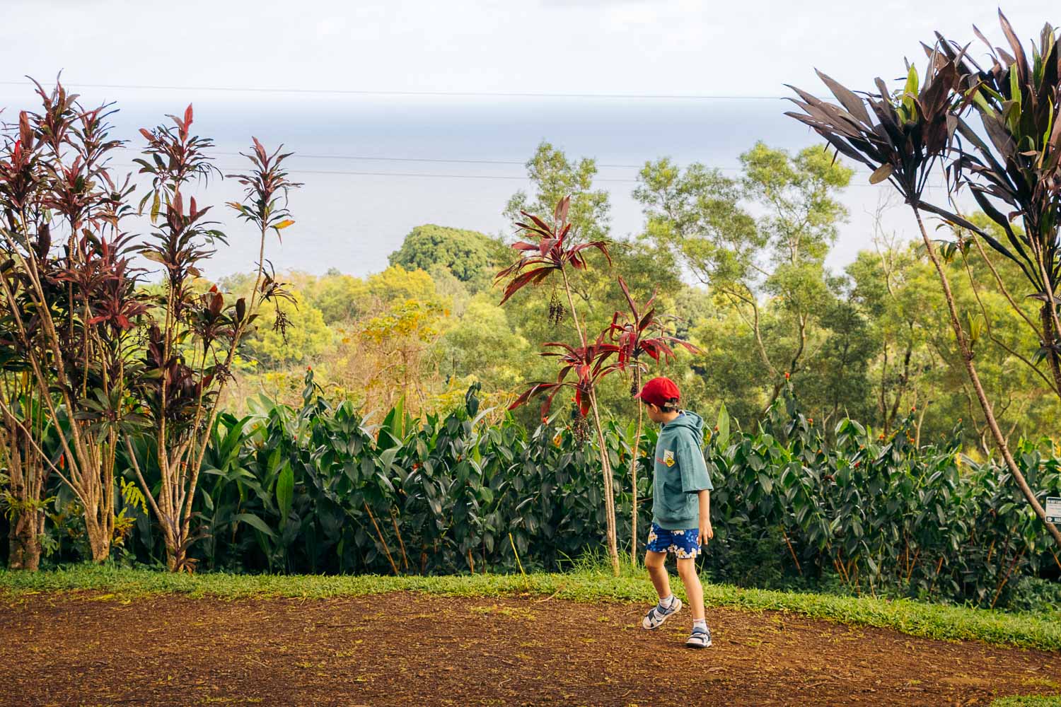 Garden of Eden | Roads and Destinations