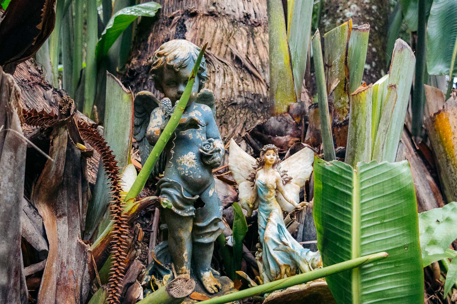 Garden of Eden | Roads and Destinations