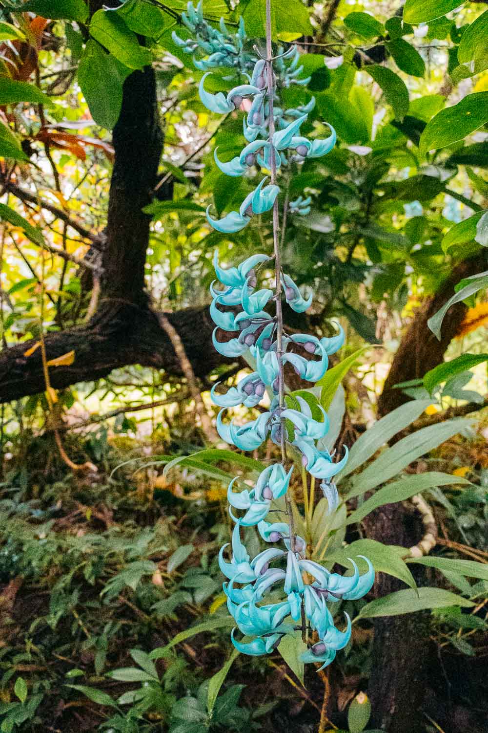 Garden of Eden | Roads and Destinations