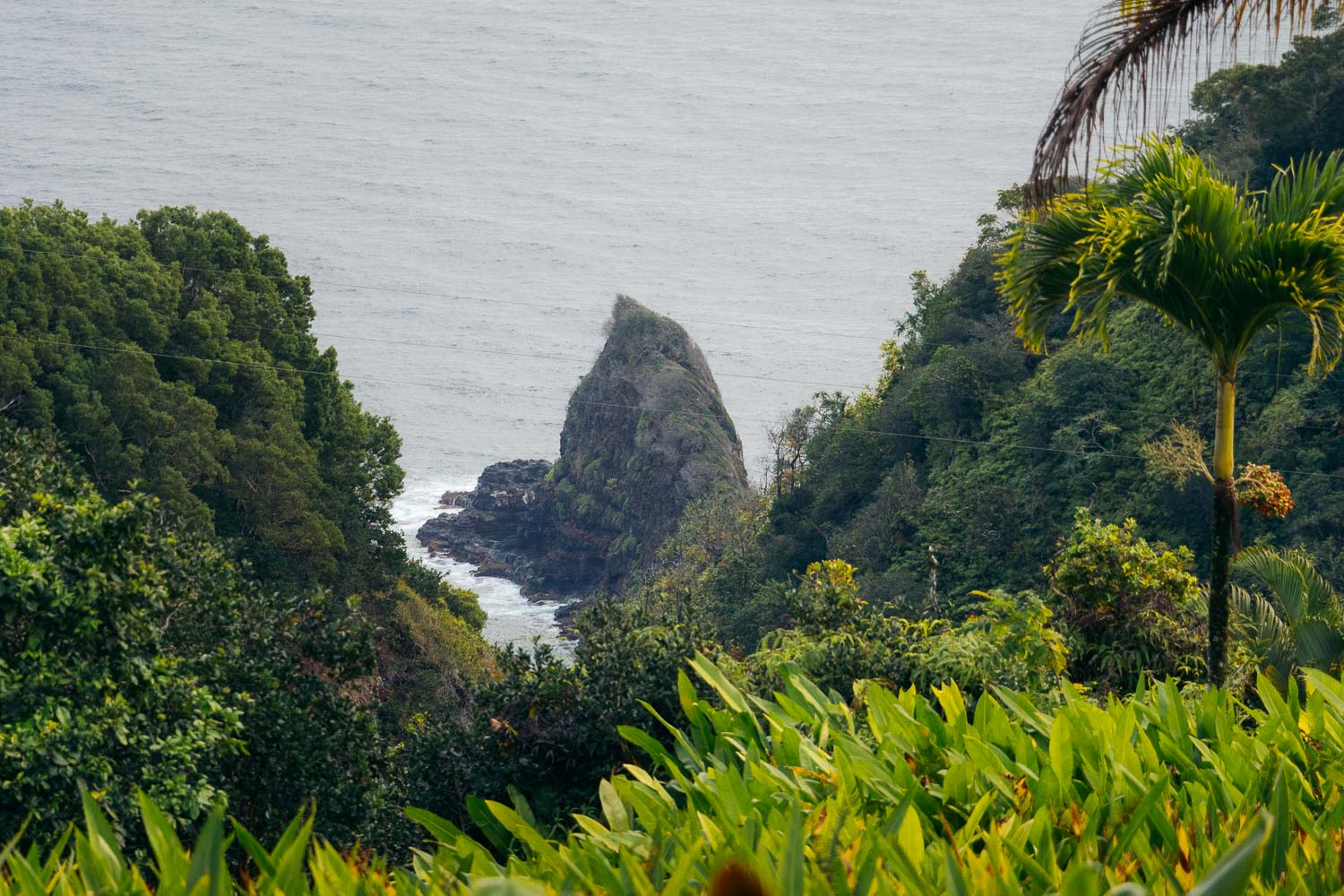 Garden of Eden | Roads and Destinations