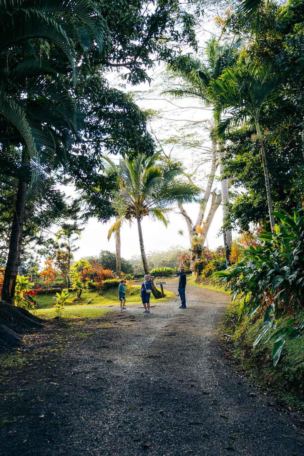 Maui's Garden of Eden | Roads and Destinations