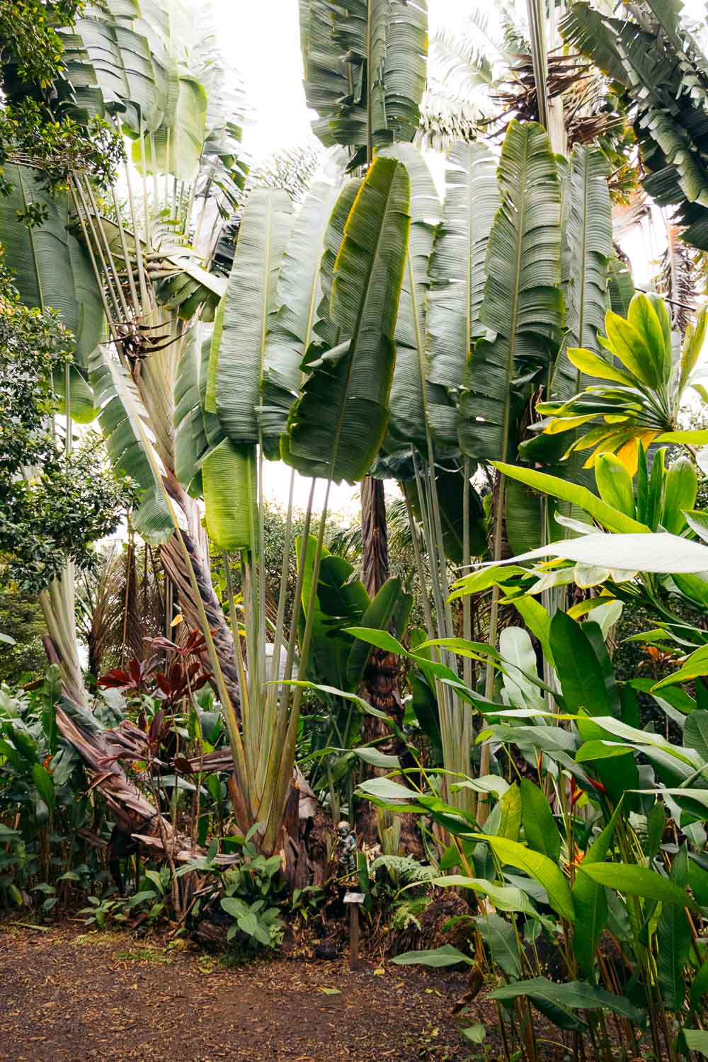 Road to Hana | Roads and Destinations