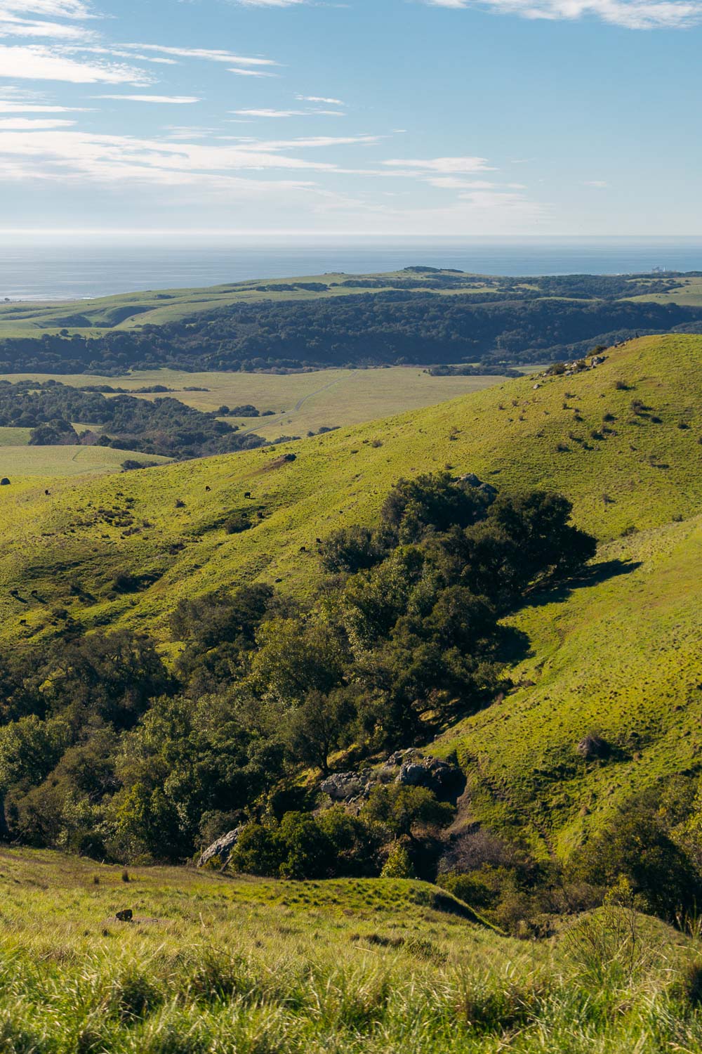 Hearst Castle | Roads and Destinations