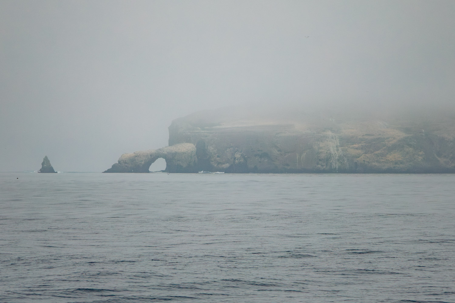 Anacapa Island | Roads and Destinations