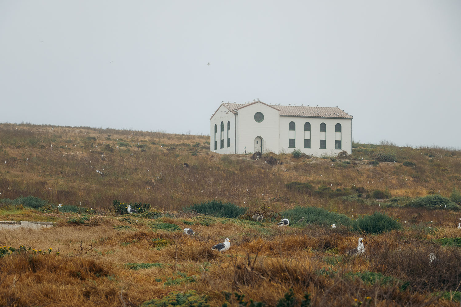 Anacapa Island | Roads and Destinations