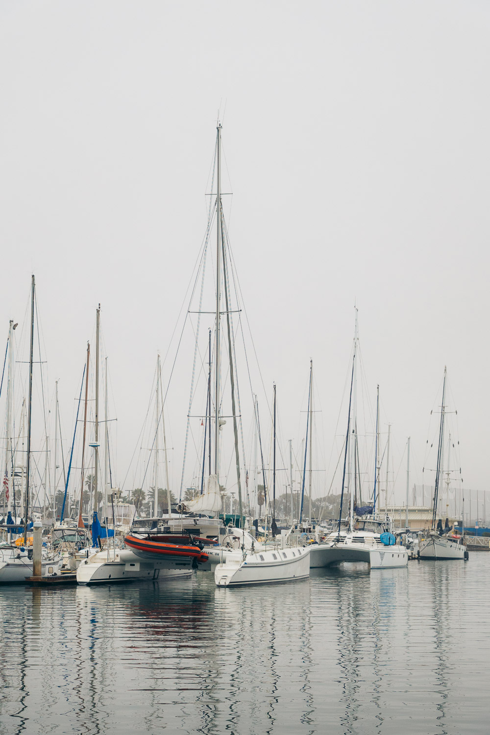 Anacapa Island | Roads and Destinations