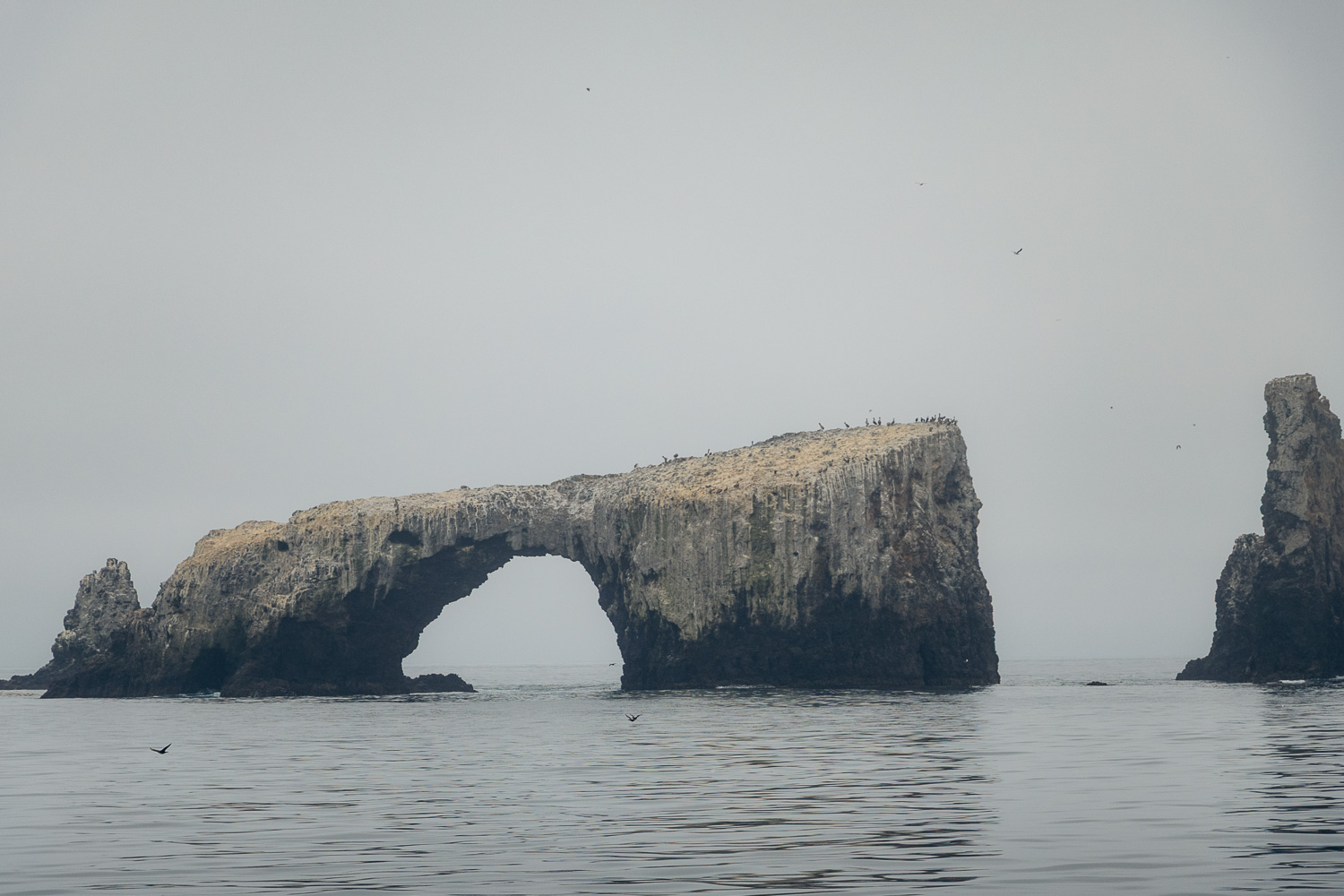Anacapa Island | Roads and Destinations
