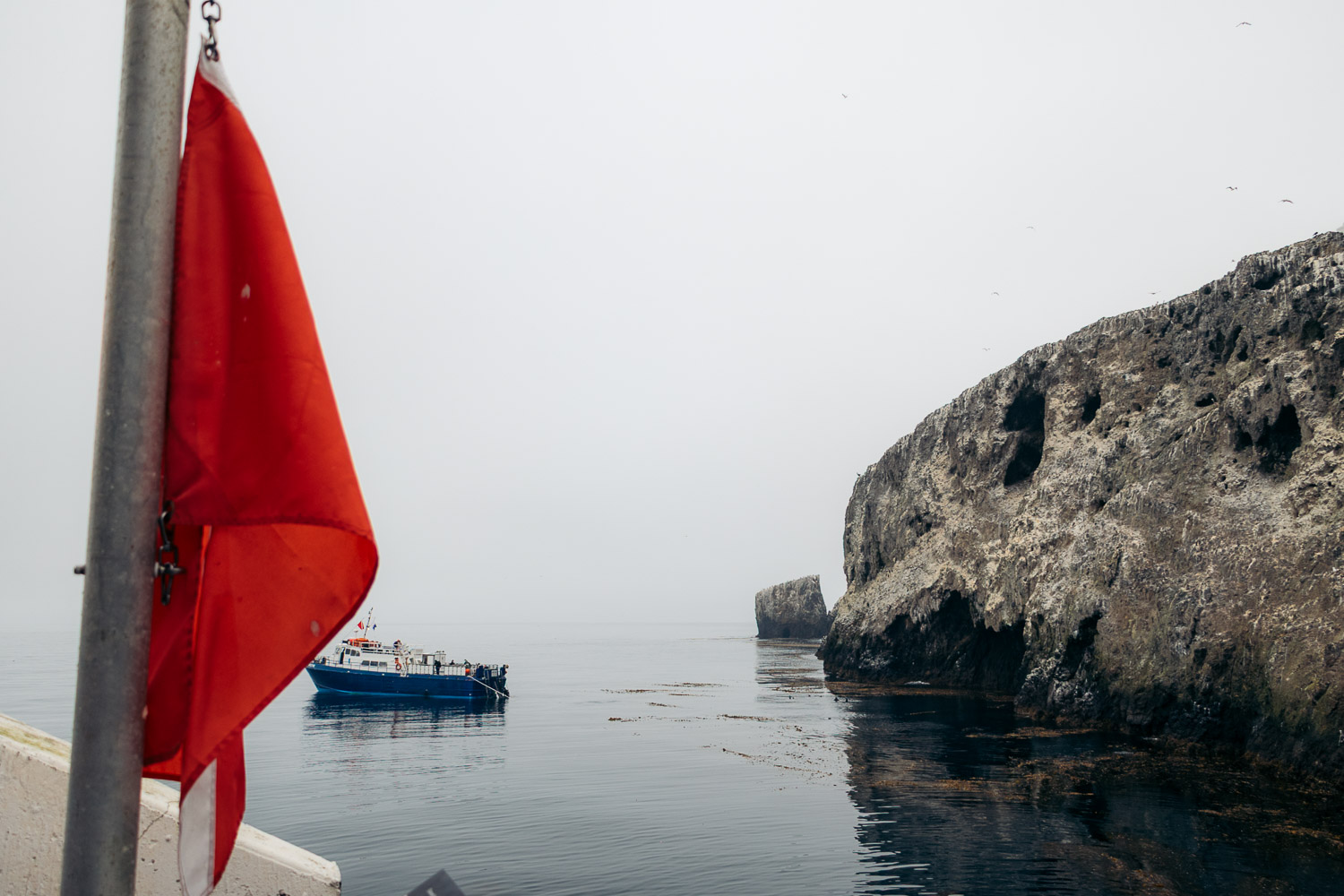Anacapa Island | Roads and Destinations