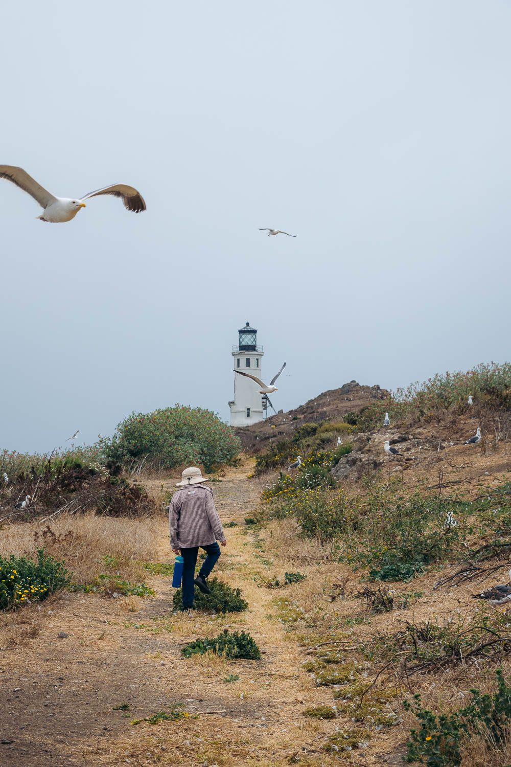 California | Roads and Destinations
