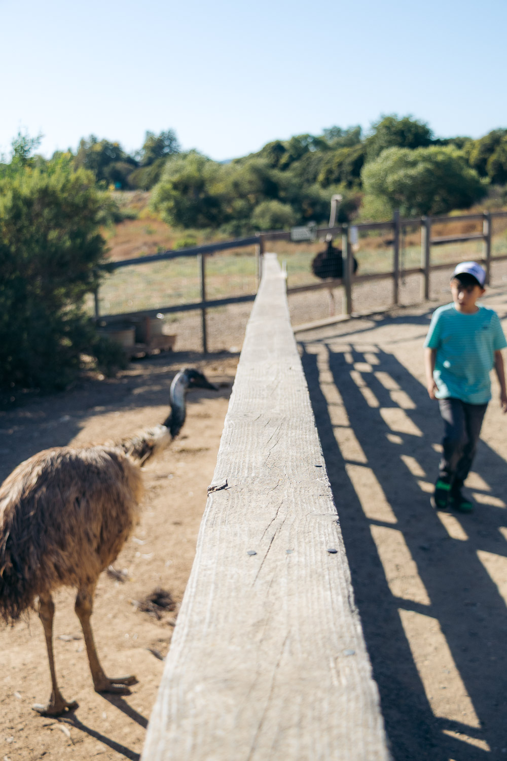 Solvang | Roads and Destinations