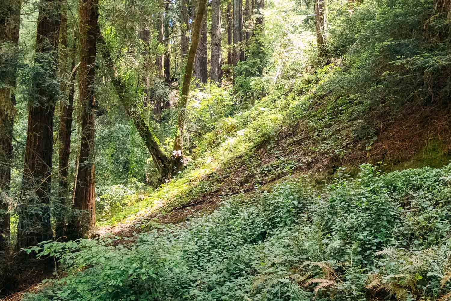 Santa Cruz | Roads and Destinations