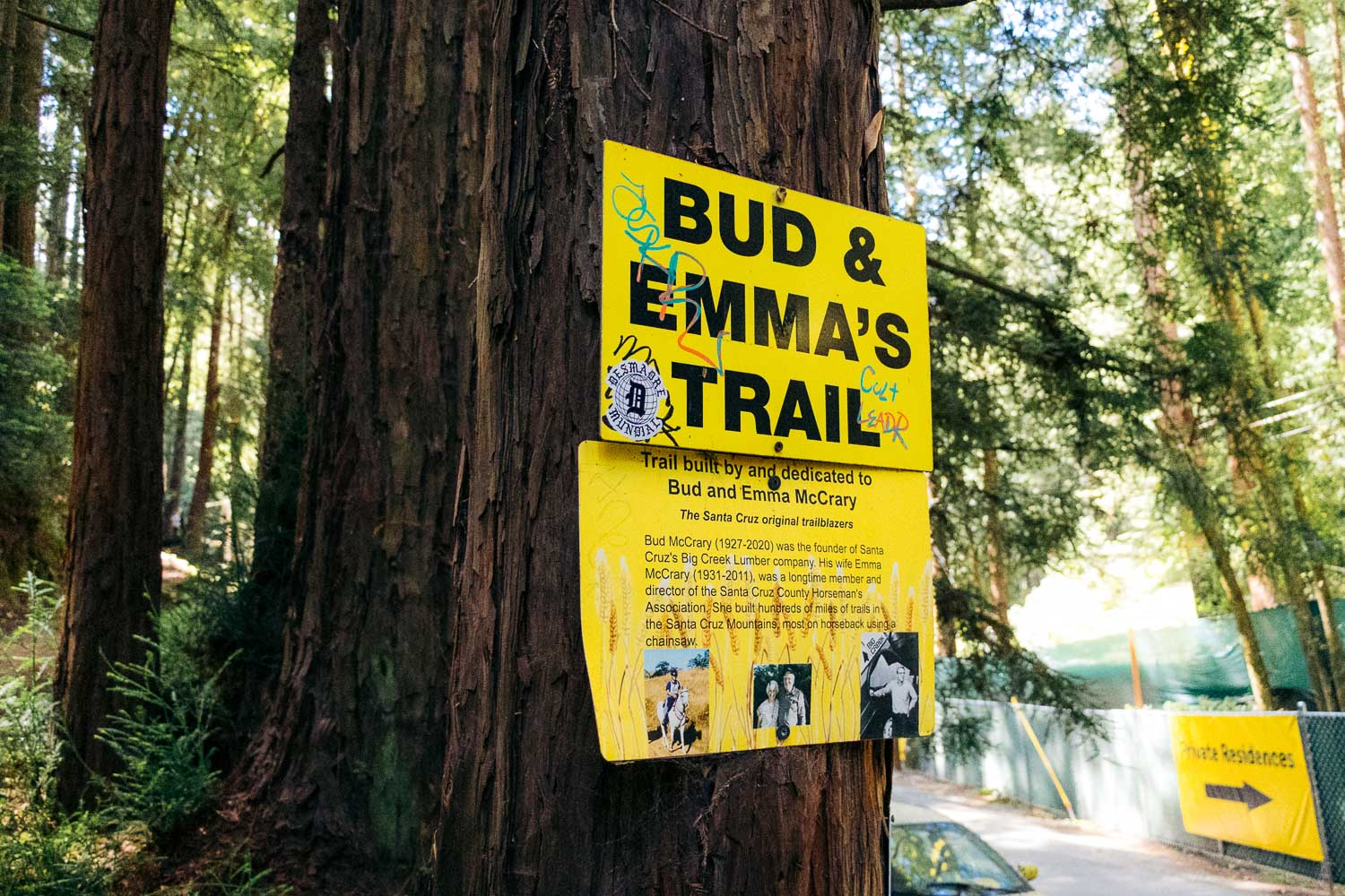 Mystery Spot | Roads and Destinations