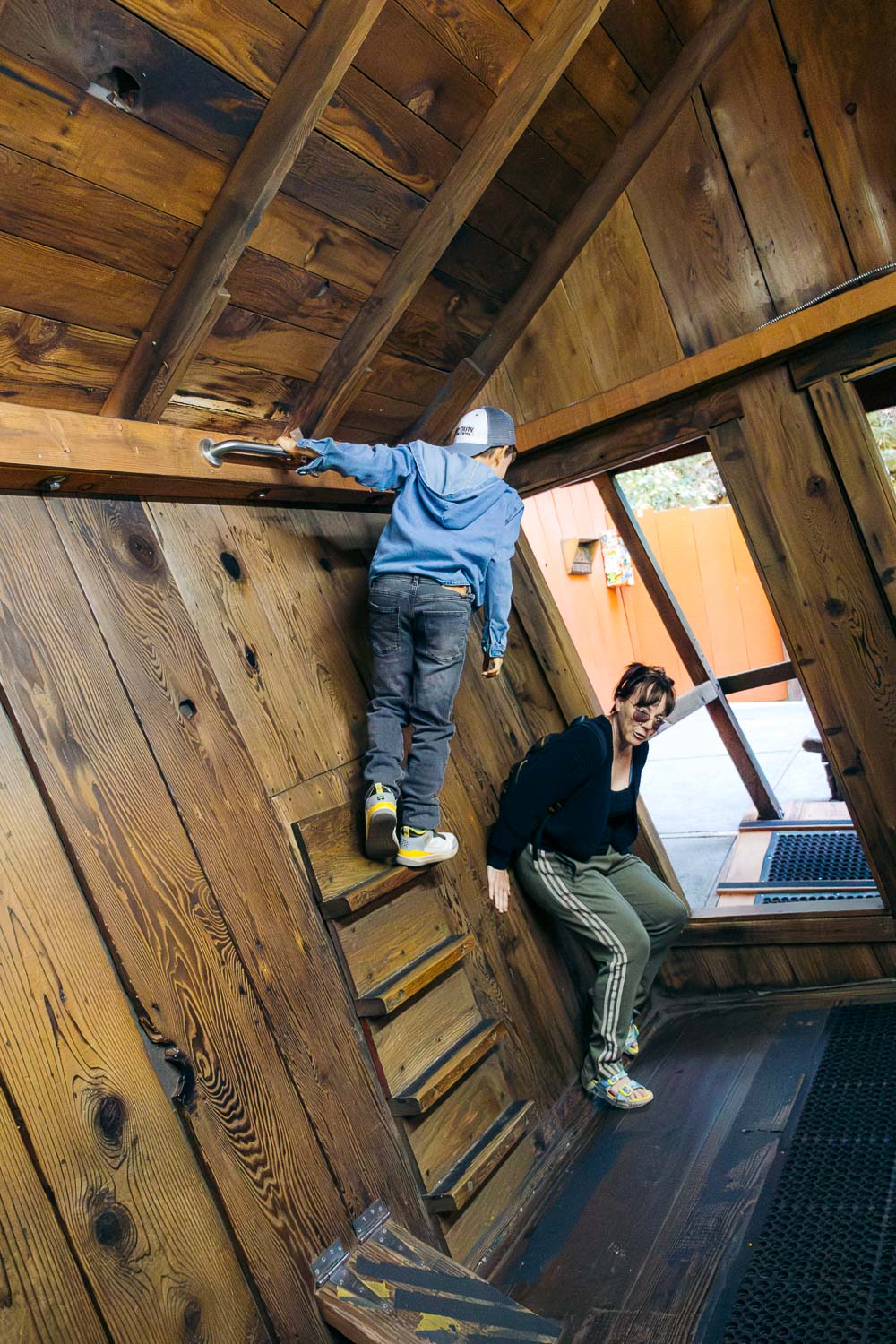 Mystery Spot | Roads and Destinations